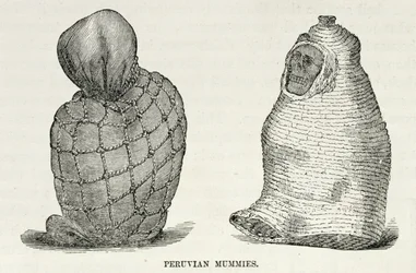 Momies péruviennes, de 